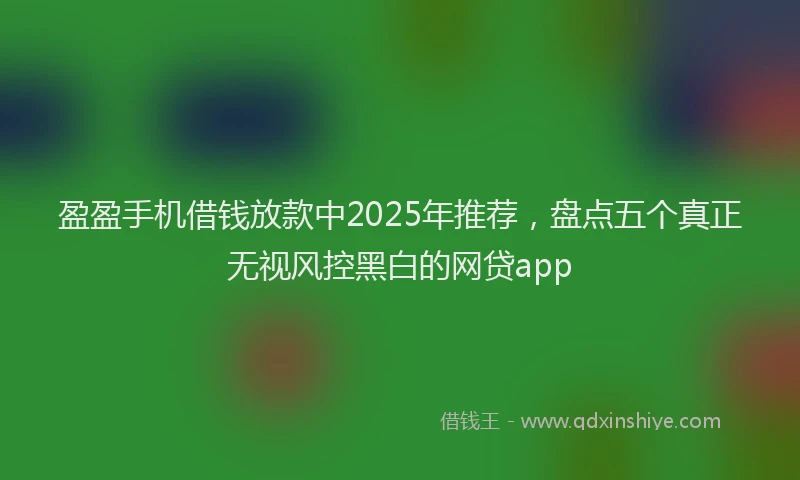 盈盈手机借钱放款中2025年推荐，盘点五个真正无视风控黑白的网贷app