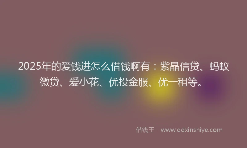 2025年的爱钱进怎么借钱啊有：紫晶信贷、蚂蚁微贷、爱小花、优投金服、优一租等。