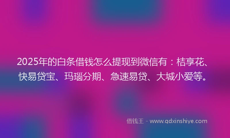 2025年的白条借钱怎么提现到微信有：桔享花、快易贷宝、玛瑙分期、急速易贷、大城小爱等。
