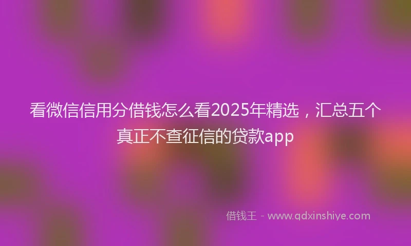 看微信信用分借钱怎么看2025年精选，汇总五个真正不查征信的贷款app