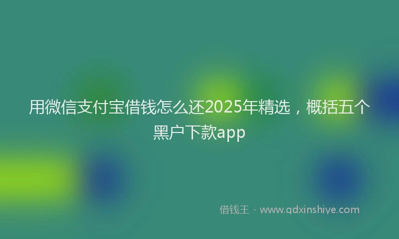 用微信支付宝借钱怎么还2025年精选，概括五个黑户下款app