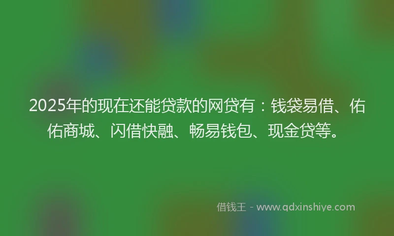 2025年的现在还能贷款的网贷有：钱袋易借、佑佑商城、闪借快融、畅易钱包、现金贷等。