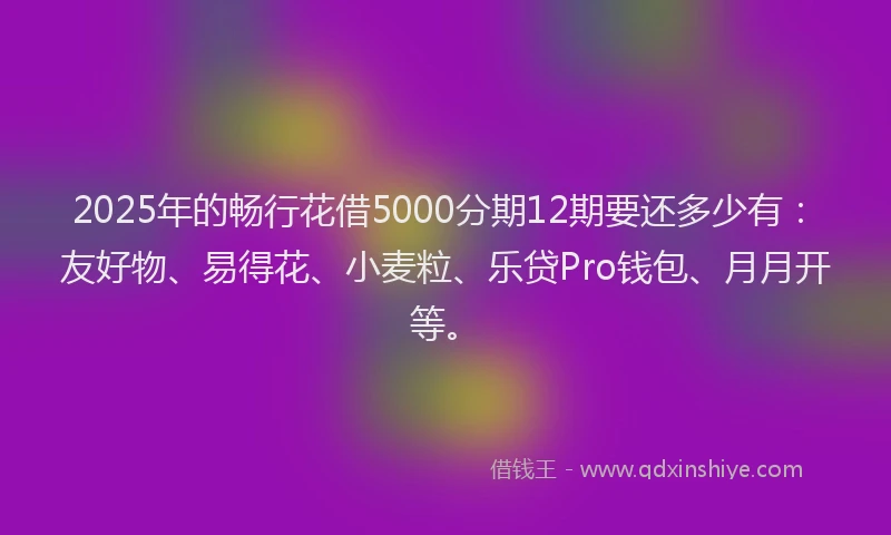 2025年的畅行花借5000分期12期要还多少有：友好物、易得花、小麦粒、乐贷Pro钱包、月月开等。