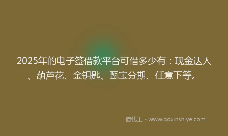 2025年的电子签借款平台可借多少有：现金达人、葫芦花、金钥匙、甄宝分期、任意下等。