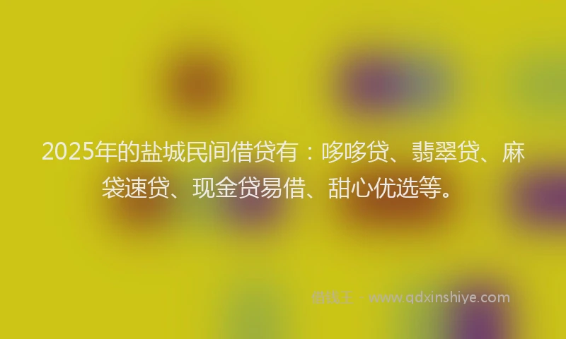2025年的盐城民间借贷有：哆哆贷、翡翠贷、麻袋速贷、现金贷易借、甜心优选等。