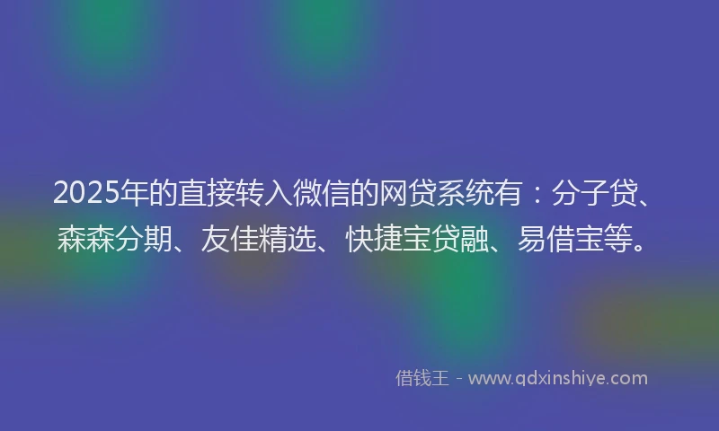 2025年的直接转入微信的网贷系统有：分子贷、森森分期、友佳精选、快捷宝贷融、易借宝等。