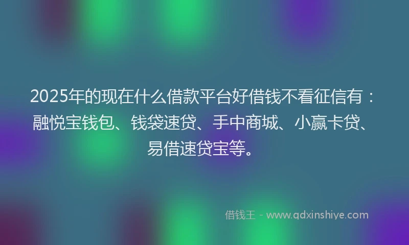 2025年的现在什么借款平台好借钱不看征信有：融悦宝钱包、钱袋速贷、手中商城、小赢卡贷、易借速贷宝等。