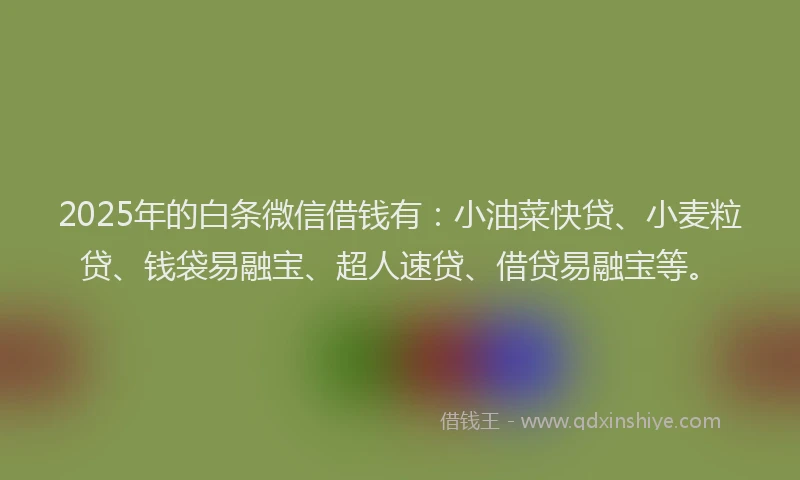 2025年的白条微信借钱有：小油菜快贷、小麦粒贷、钱袋易融宝、超人速贷、借贷易融宝等。