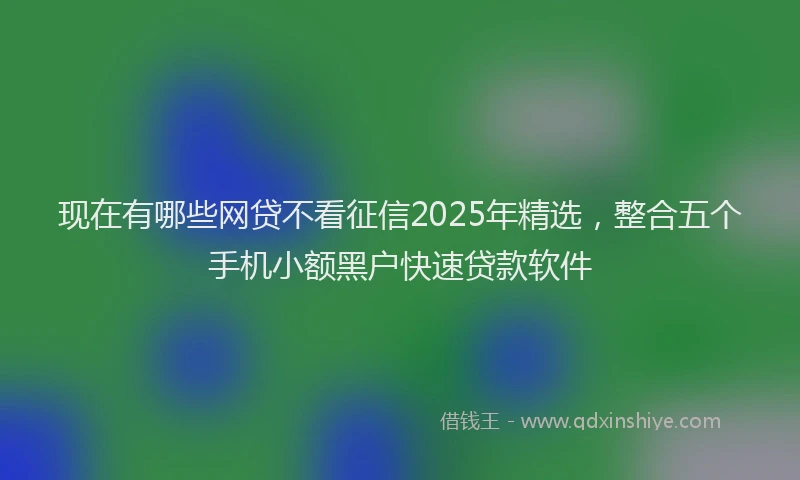 现在有哪些网贷不看征信2025年精选，整合五个手机小额黑户快速贷款软件