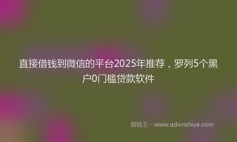 直接借钱到微信的平台2025年推荐，罗列5个黑户0门槛贷款软件