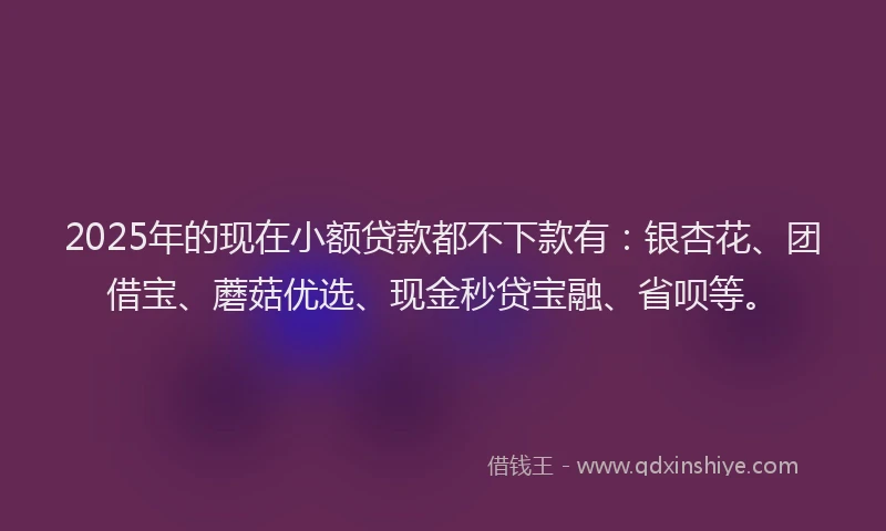 2025年的现在小额贷款都不下款有：银杏花、团借宝、蘑菇优选、现金秒贷宝融、省呗等。