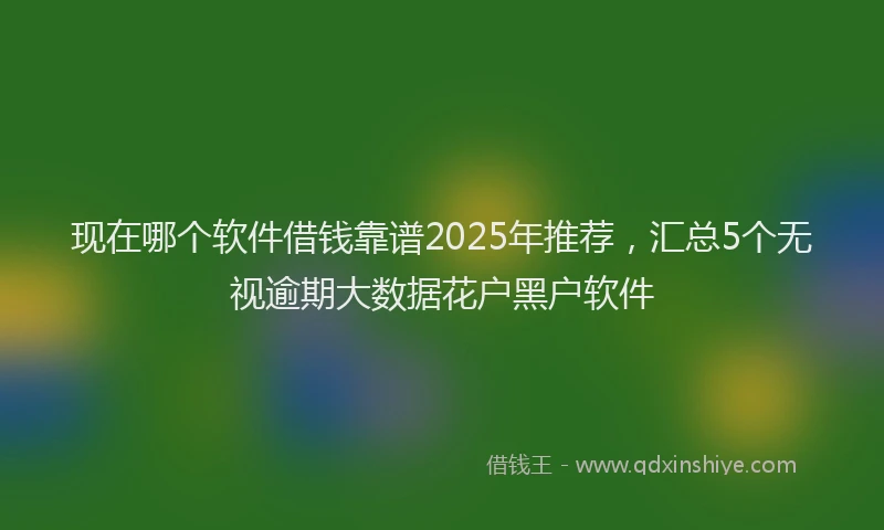 现在哪个软件借钱靠谱2025年推荐，汇总5个无视逾期大数据花户黑户软件