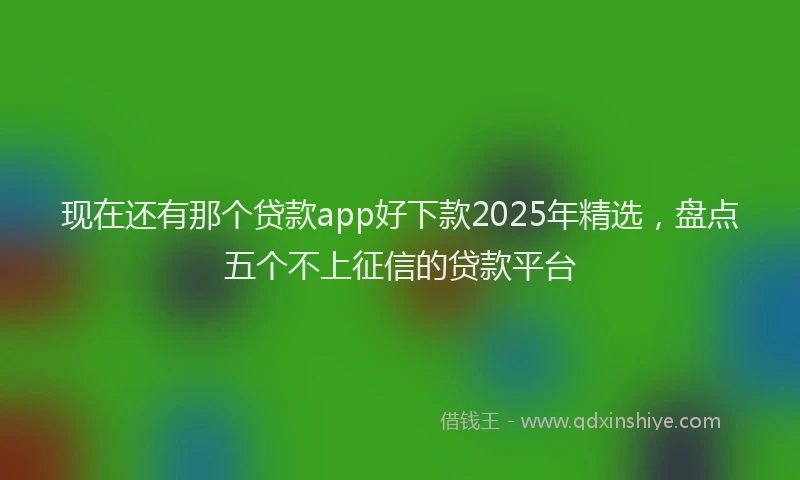 现在还有那个贷款app好下款2025年精选，盘点五个不上征信的贷款平台
