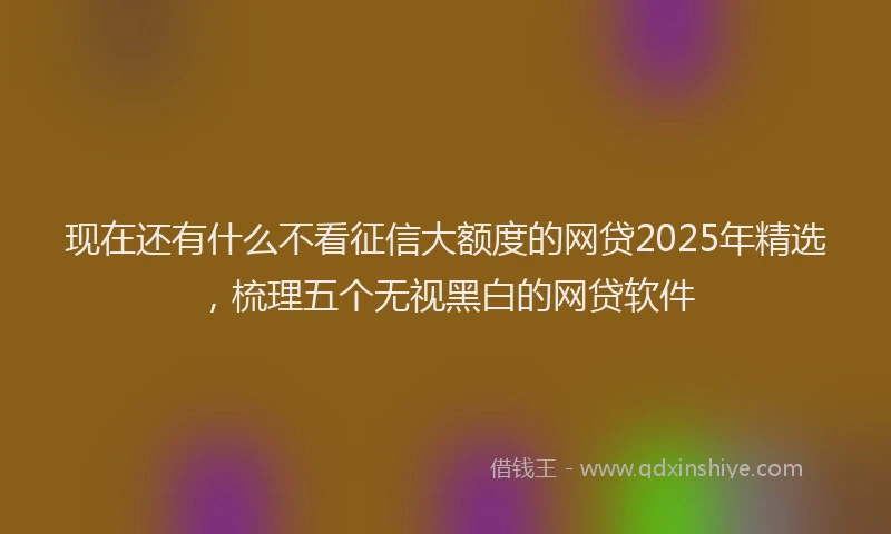 现在还有什么不看征信大额度的网贷2025年精选，梳理五个无视黑白的网贷软件
