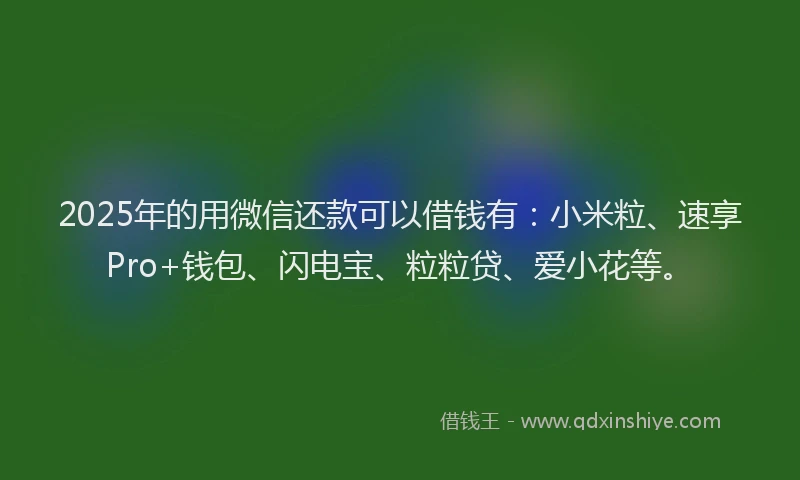 2025年的用微信还款可以借钱有：小米粒、速享Pro+钱包、闪电宝、粒粒贷、爱小花等。