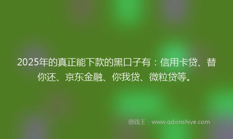 2025年的真正能下款的黑口子有：信用卡贷、替你还、京东金融、你我贷、微粒贷等。