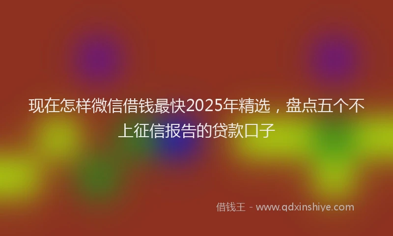 现在怎样微信借钱最快2025年精选，盘点五个不上征信报告的贷款口子