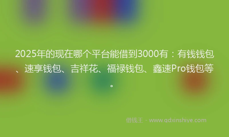 2025年的现在哪个平台能借到3000有：有钱钱包、速享钱包、吉祥花、福禄钱包、鑫速Pro钱包等。