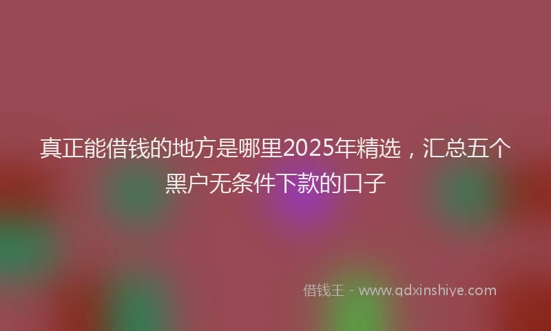 真正能借钱的地方是哪里2025年精选，汇总五个黑户无条件下款的口子