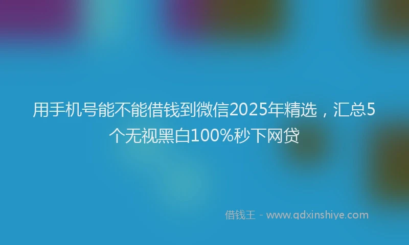 用手机号能不能借钱到微信2025年精选，汇总5个无视黑白100%秒下网贷