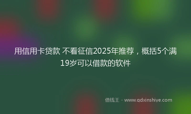 用信用卡贷款 不看征信2025年推荐，概括5个满19岁可以借款的软件