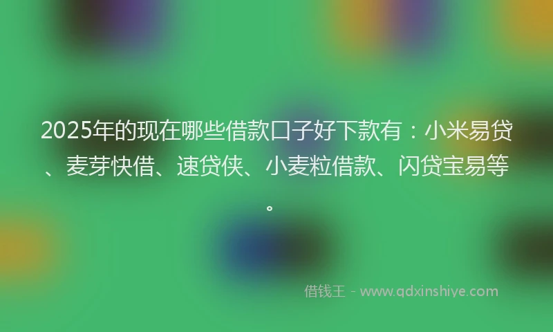2025年的现在哪些借款口子好下款有：小米易贷、麦芽快借、速贷侠、小麦粒借款、闪贷宝易等。