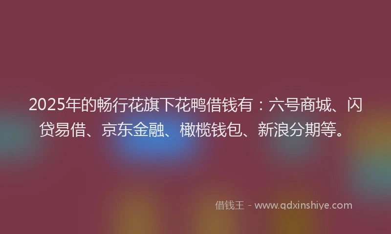 2025年的畅行花旗下花鸭借钱有：六号商城、闪贷易借、京东金融、橄榄钱包、新浪分期等。