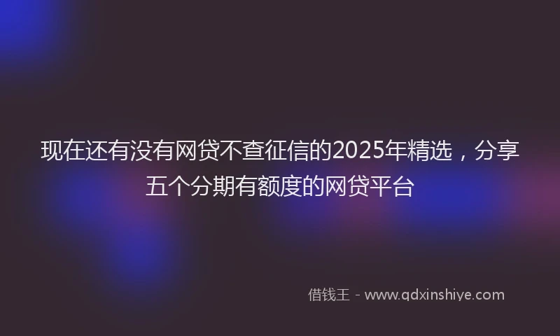 现在还有没有网贷不查征信的2025年精选，分享五个分期有额度的网贷平台