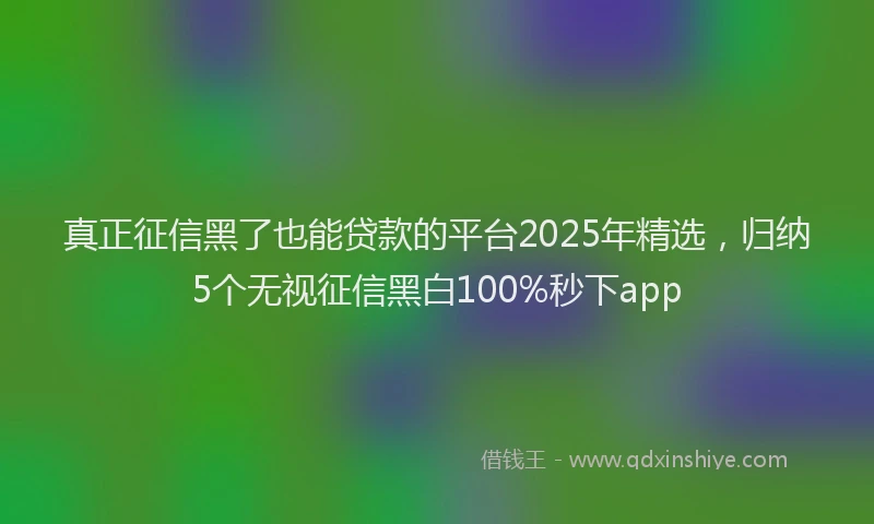 真正征信黑了也能贷款的平台2025年精选，归纳5个无视征信黑白100%秒下app