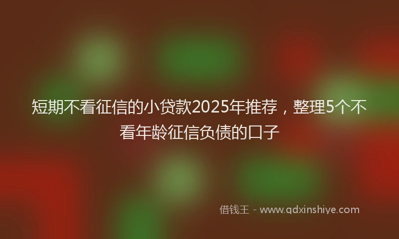 短期不看征信的小贷款2025年推荐，整理5个不看年龄征信负债的口子