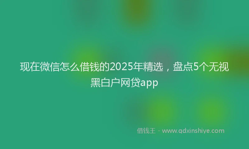 现在微信怎么借钱的2025年精选，盘点5个无视黑白户网贷app
