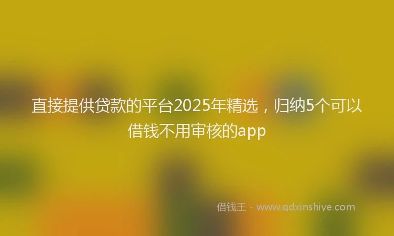 直接提供贷款的平台2025年精选，归纳5个可以借钱不用审核的app
