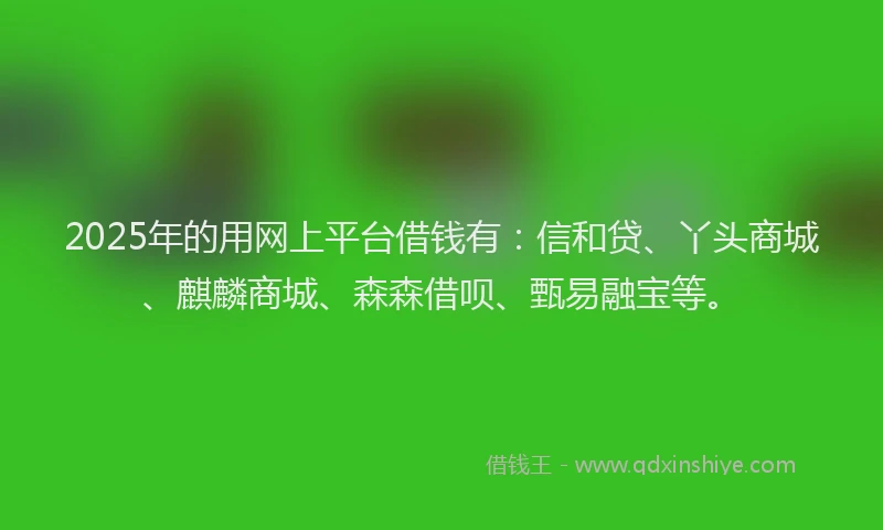 2025年的用网上平台借钱有：信和贷、丫头商城、麒麟商城、森森借呗、甄易融宝等。