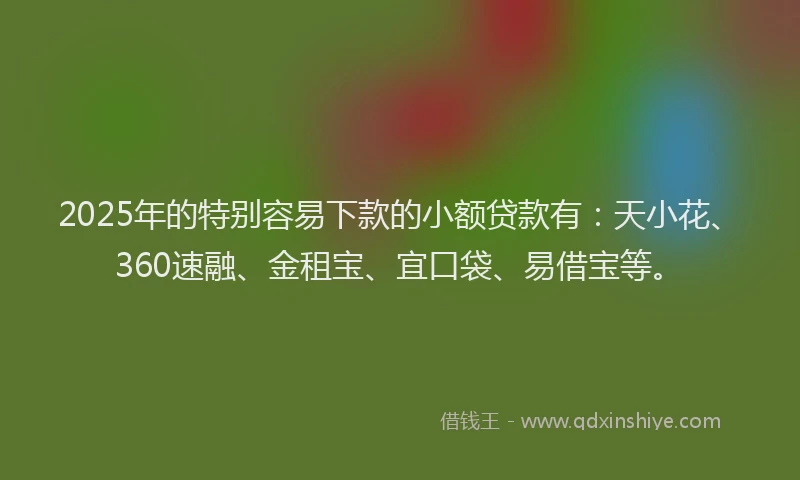 2025年的特别容易下款的小额贷款有：天小花、360速融、金租宝、宜口袋、易借宝等。