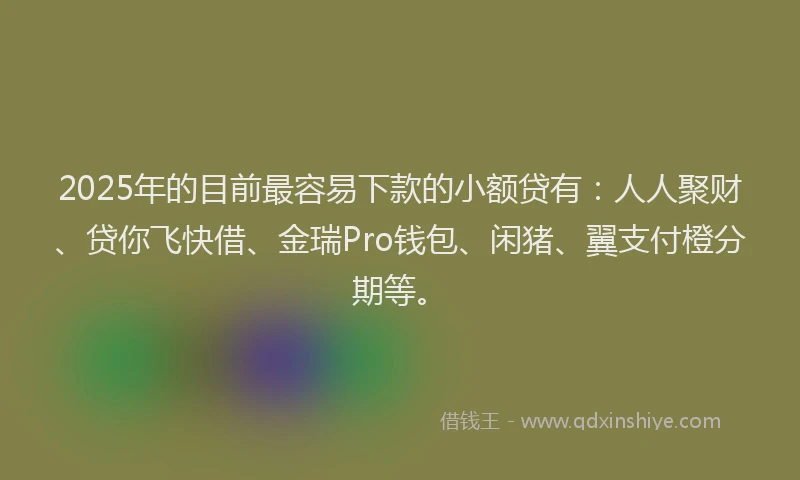 2025年的目前最容易下款的小额贷有：人人聚财、贷你飞快借、金瑞Pro钱包、闲猪、翼支付橙分期等。