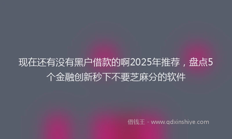 现在还有没有黑户借款的啊2025年推荐，盘点5个金融创新秒下不要芝麻分的软件