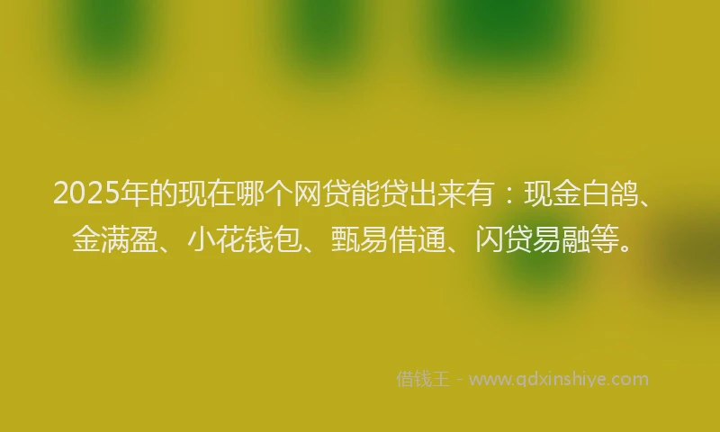 2025年的现在哪个网贷能贷出来有：现金白鸽、金满盈、小花钱包、甄易借通、闪贷易融等。