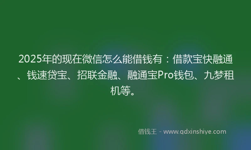 2025年的现在微信怎么能借钱有：借款宝快融通、钱速贷宝、招联金融、融通宝Pro钱包、九梦租机等。