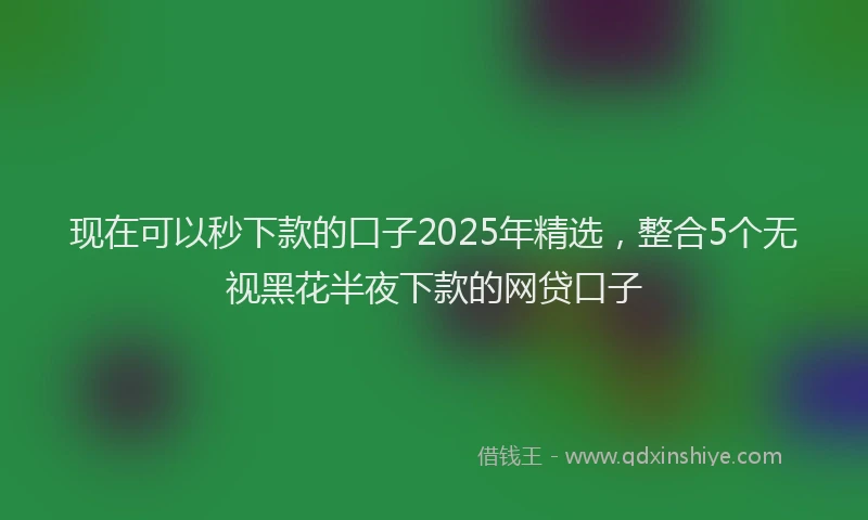 现在可以秒下款的口子2025年精选，整合5个无视黑花半夜下款的网贷口子