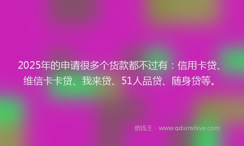 2025年的申请很多个货款都不过有：信用卡贷、维信卡卡贷、我来贷、51人品贷、随身贷等。
