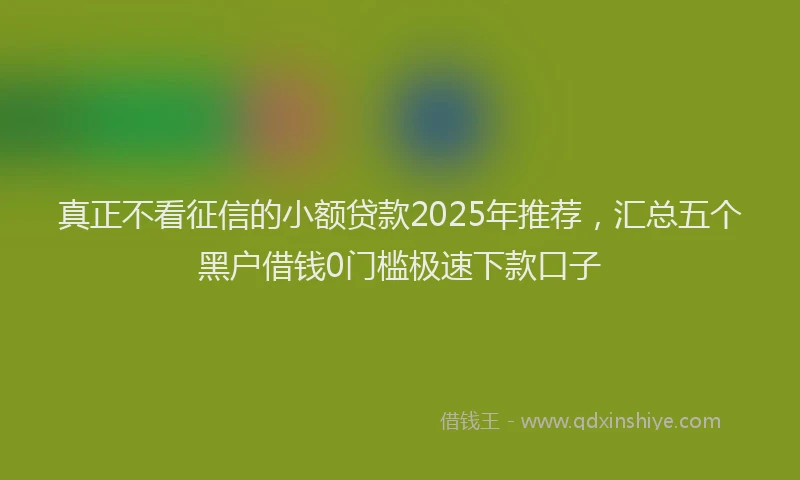 真正不看征信的小额贷款2025年推荐，汇总五个黑户借钱0门槛极速下款口子