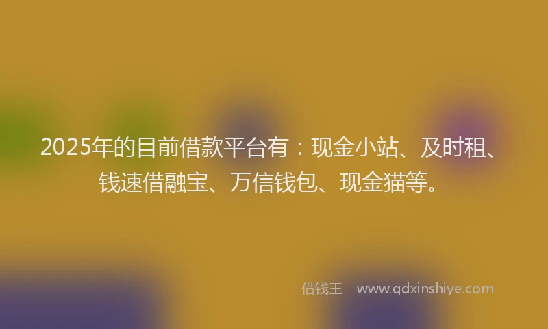 2025年的目前借款平台有：现金小站、及时租、钱速借融宝、万信钱包、现金猫等。