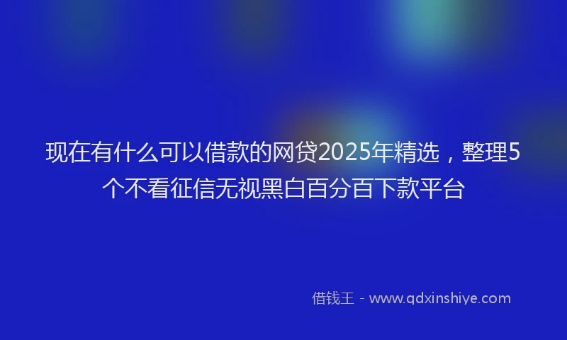 现在有什么可以借款的网贷2025年精选，整理5个不看征信无视黑白百分百下款平台