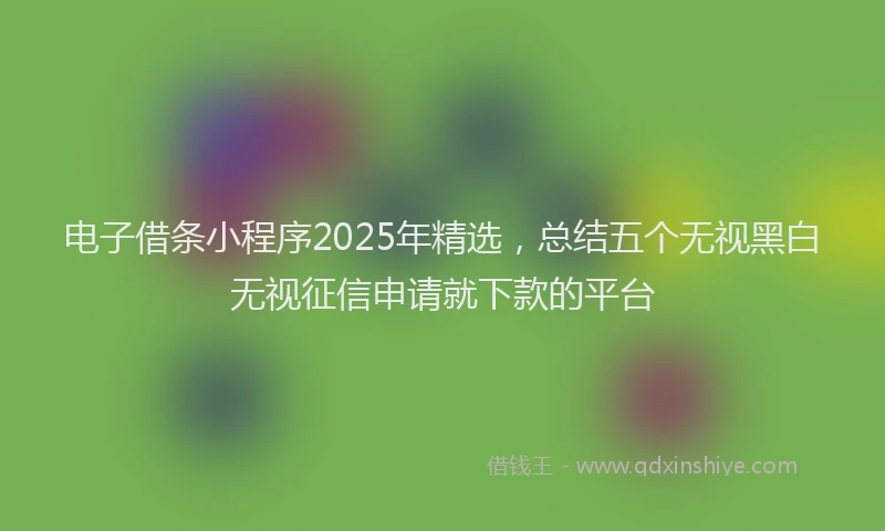 电子借条小程序2025年精选，总结五个无视黑白无视征信申请就下款的平台