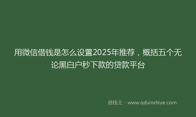 用微信借钱是怎么设置2025年推荐，概括五个无论黑白户秒下款的贷款平台