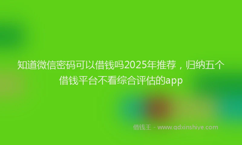 知道微信密码可以借钱吗2025年推荐，归纳五个借钱平台不看综合评估的app