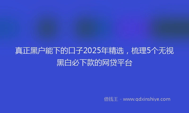 真正黑户能下的口子2025年精选，梳理5个无视黑白必下款的网贷平台