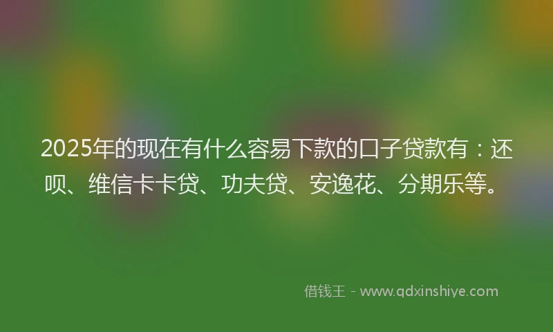 2025年的现在有什么容易下款的口子贷款有：还呗、维信卡卡贷、功夫贷、安逸花、分期乐等。