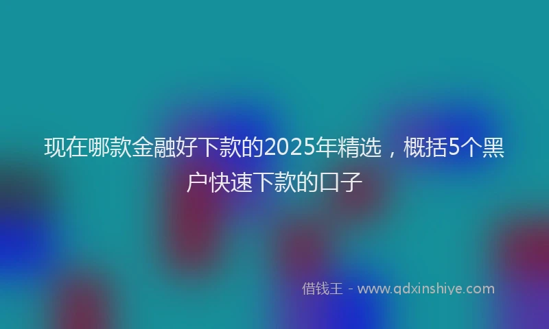 现在哪款金融好下款的2025年精选，概括5个黑户快速下款的口子