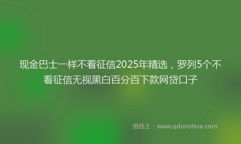 现金巴士一样不看征信2025年精选，罗列5个不看征信无视黑白百分百下款网贷口子